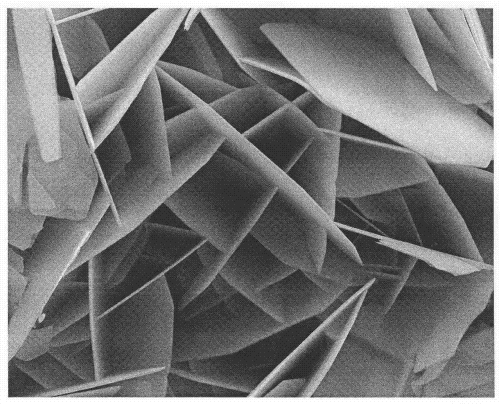 最终得到微观形貌为单层薄片立体交叉组成的蜂窝结构或平行重叠