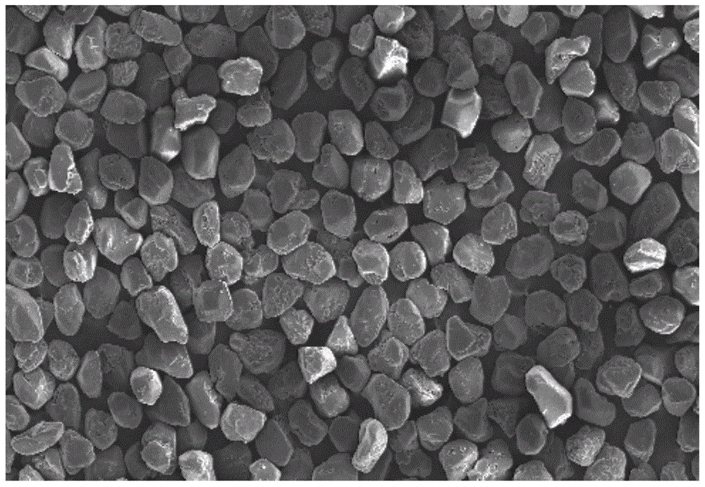 一种黑索金颗粒表面粗糙度检测方法