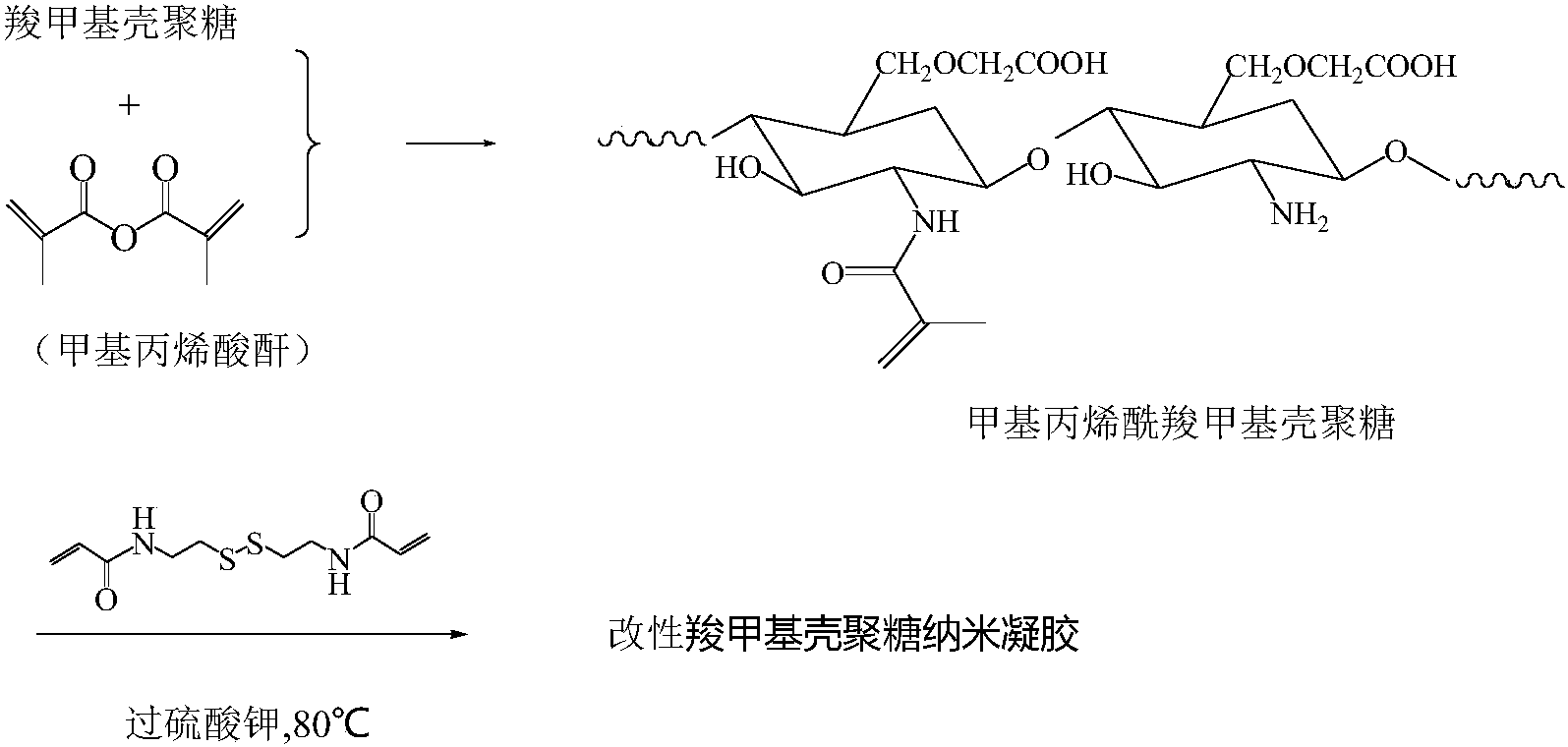 羧甲基壳聚糖结构图片