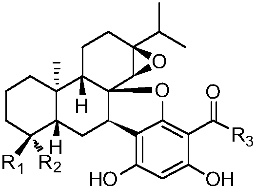 cn105837592b_间苯三酚骈松香烷二萜类化合物及其制
