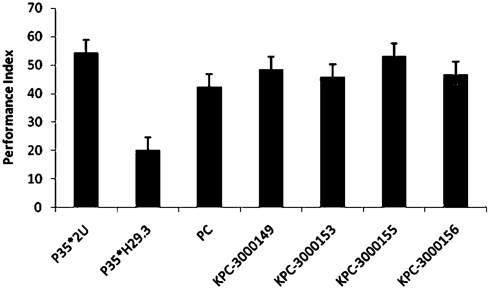一种天麻素苷元衍生物的新用途