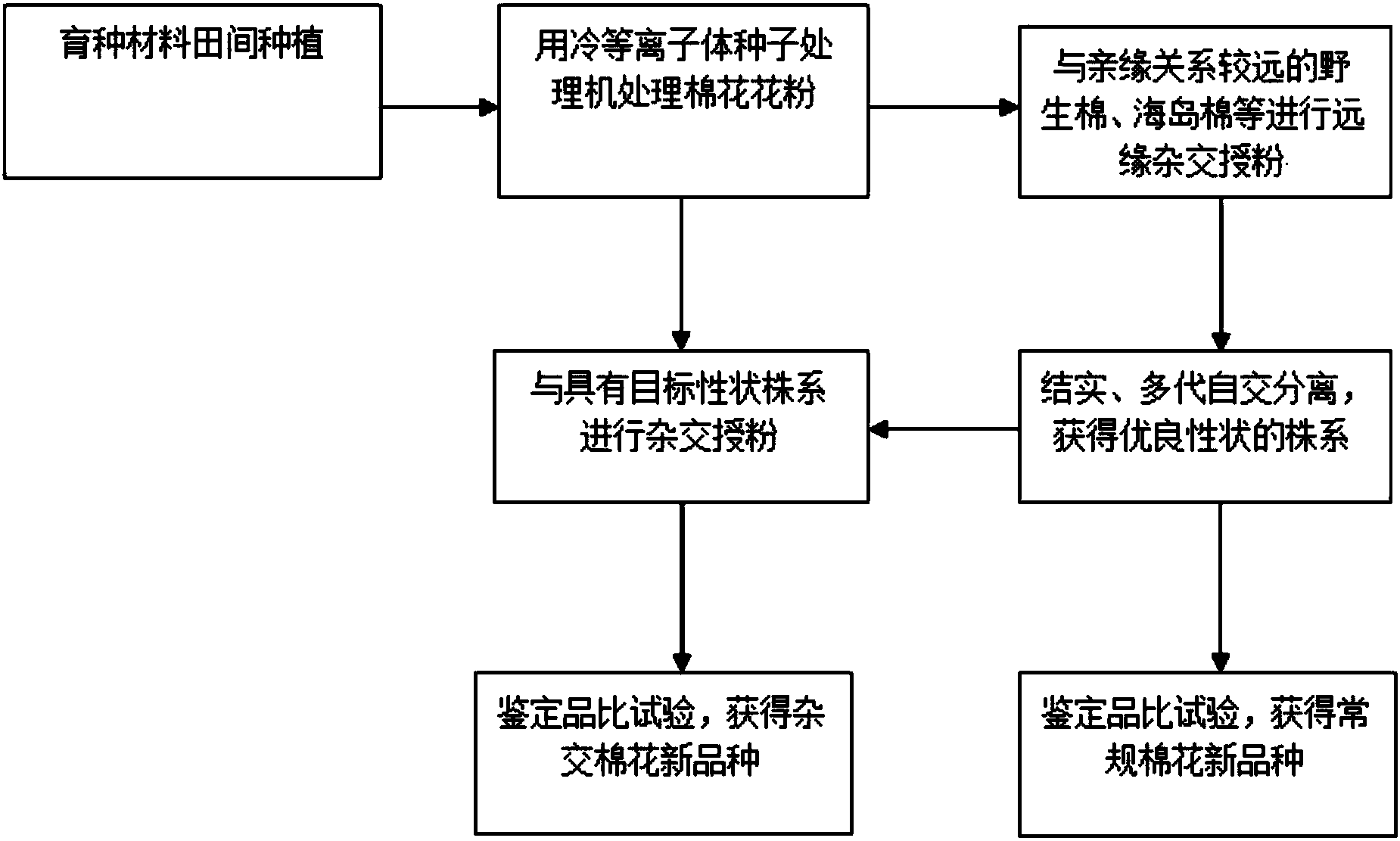 一种冷等离子体处理花粉的棉花育种方法及应用