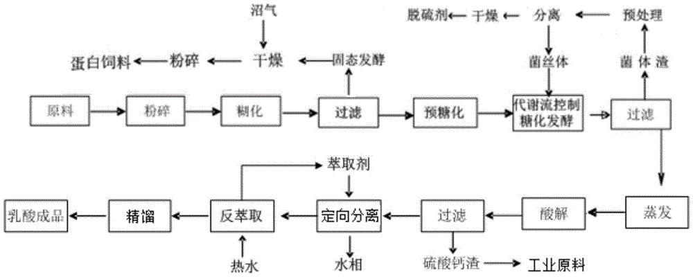 乳酸循环过程图片