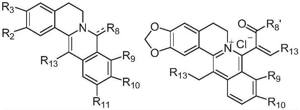 為原料經衍生化反應獲得的新的原小檗鹼類生物鹼或其生理上可接受的鹽