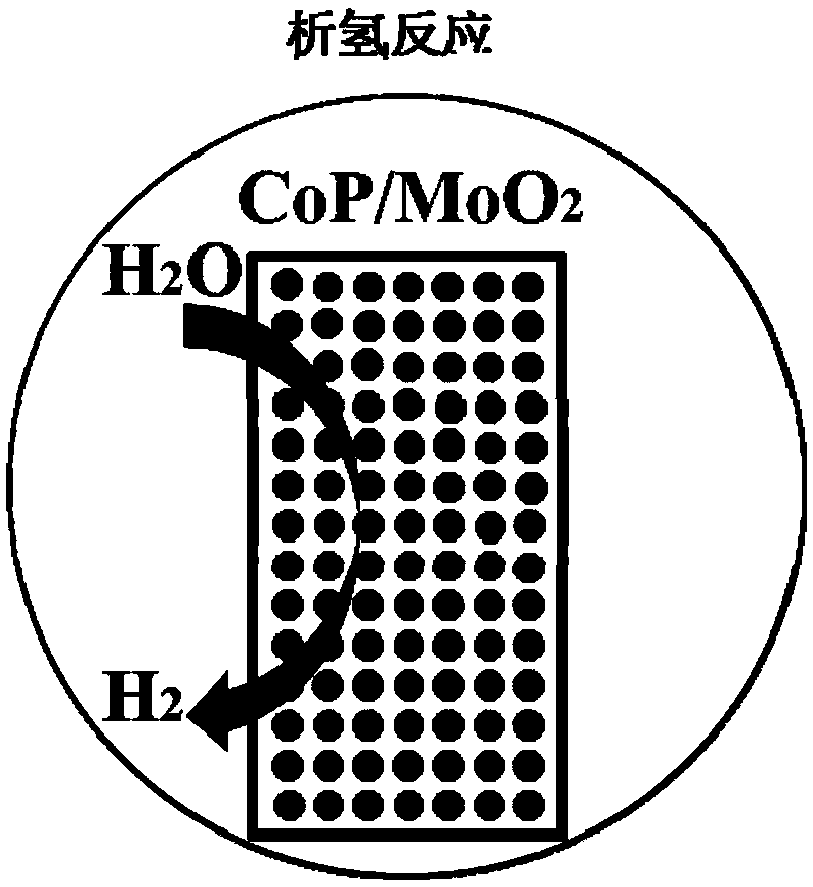 一种利用原位造孔方法制备的多孔高效电化学催化剂及其制备方法与应用