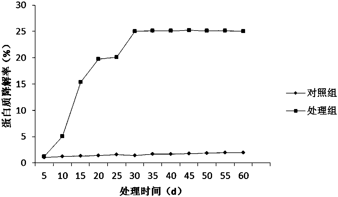 枯草芽孢杆菌在降解烟草制品中蛋白质方面的应用