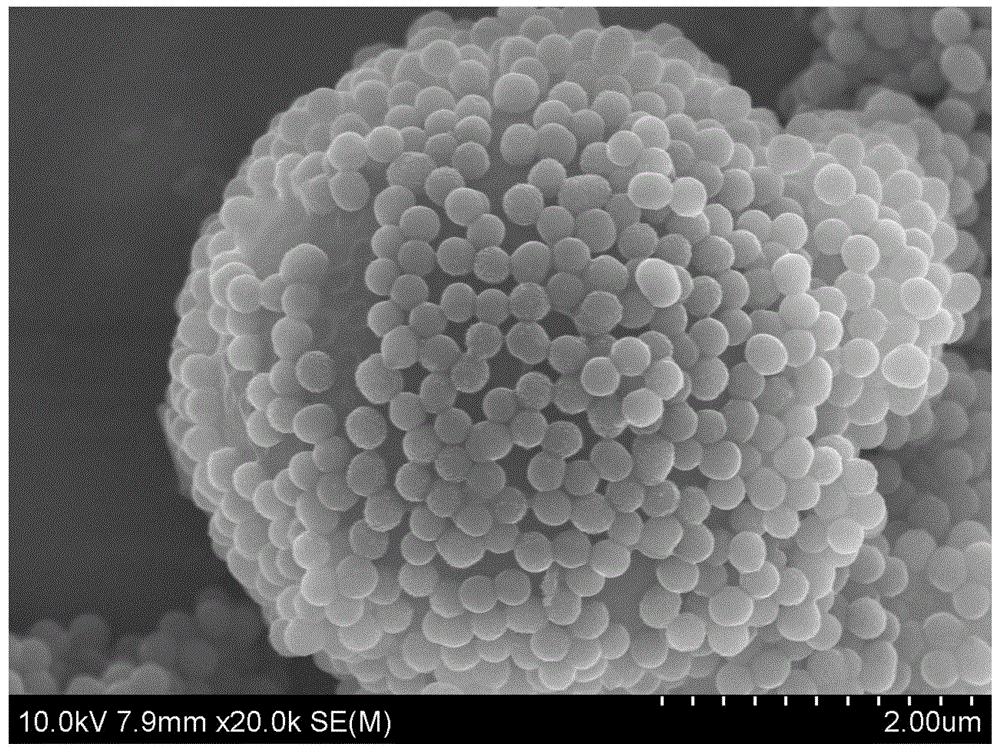 一种透明质酸修饰的多级纳米颗粒及其制备与应用