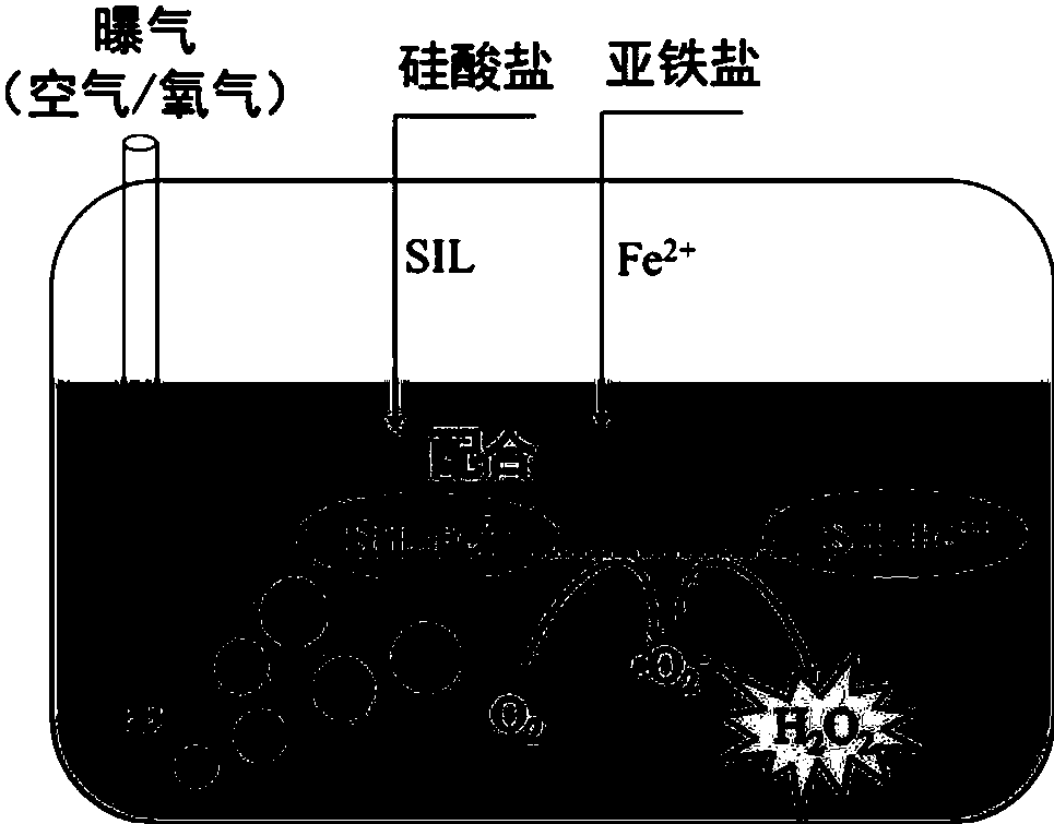 cn106829873b_亞鐵-硅酸配合物活化分子氧原位產生過氧化氫的方法有效