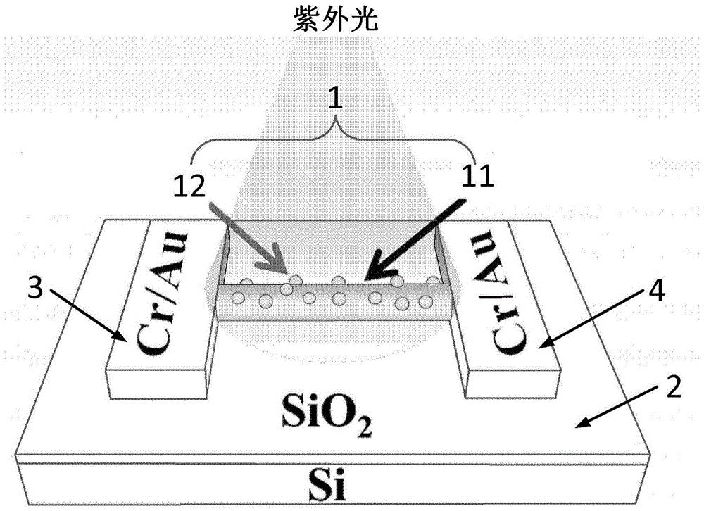 一种量子点增强的纳米线以及紫外光电探测器