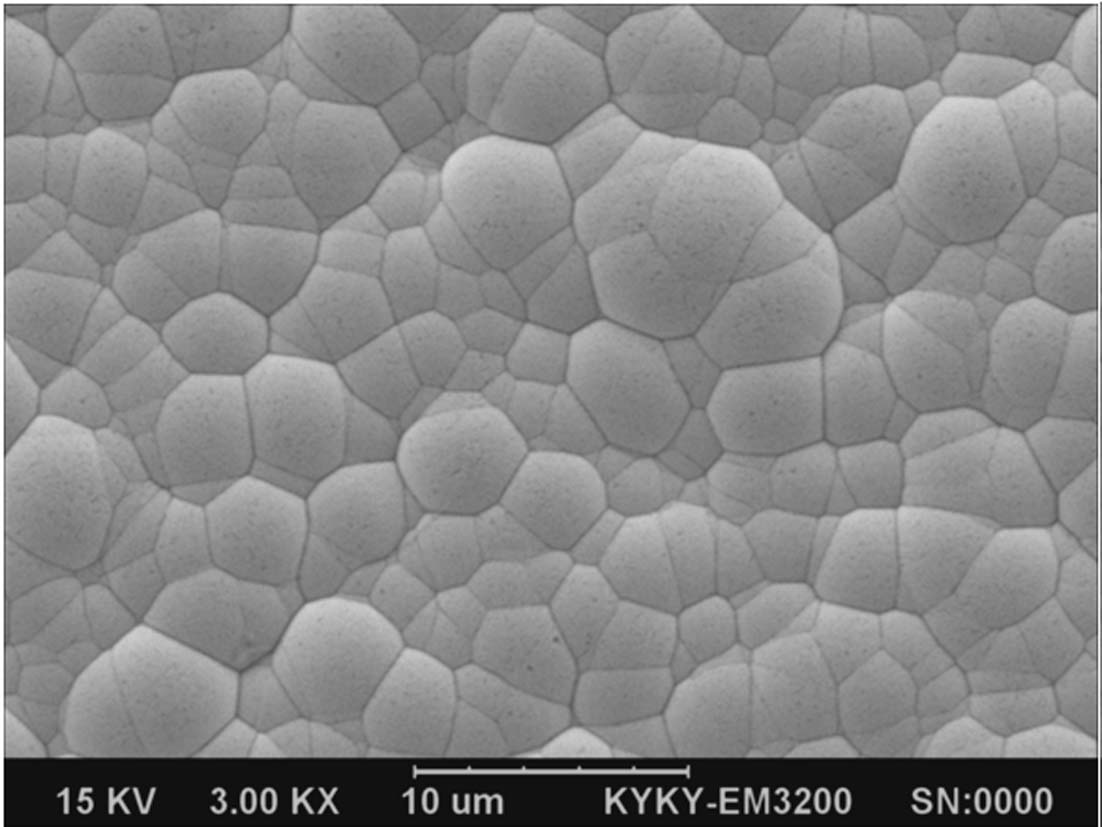 cn106987829b_应用在柔性线路板化学镀镍钯金镀层的化学镀镍配方有效