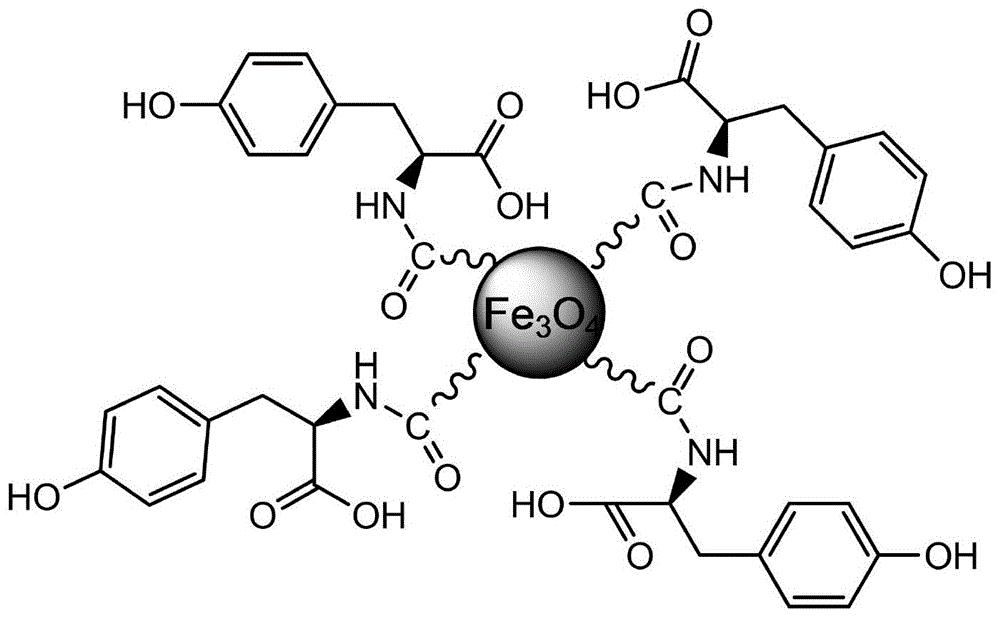 一種酪氨酸改性的四氧化三鐵磁性納米吸附材料及其製備方法和應用