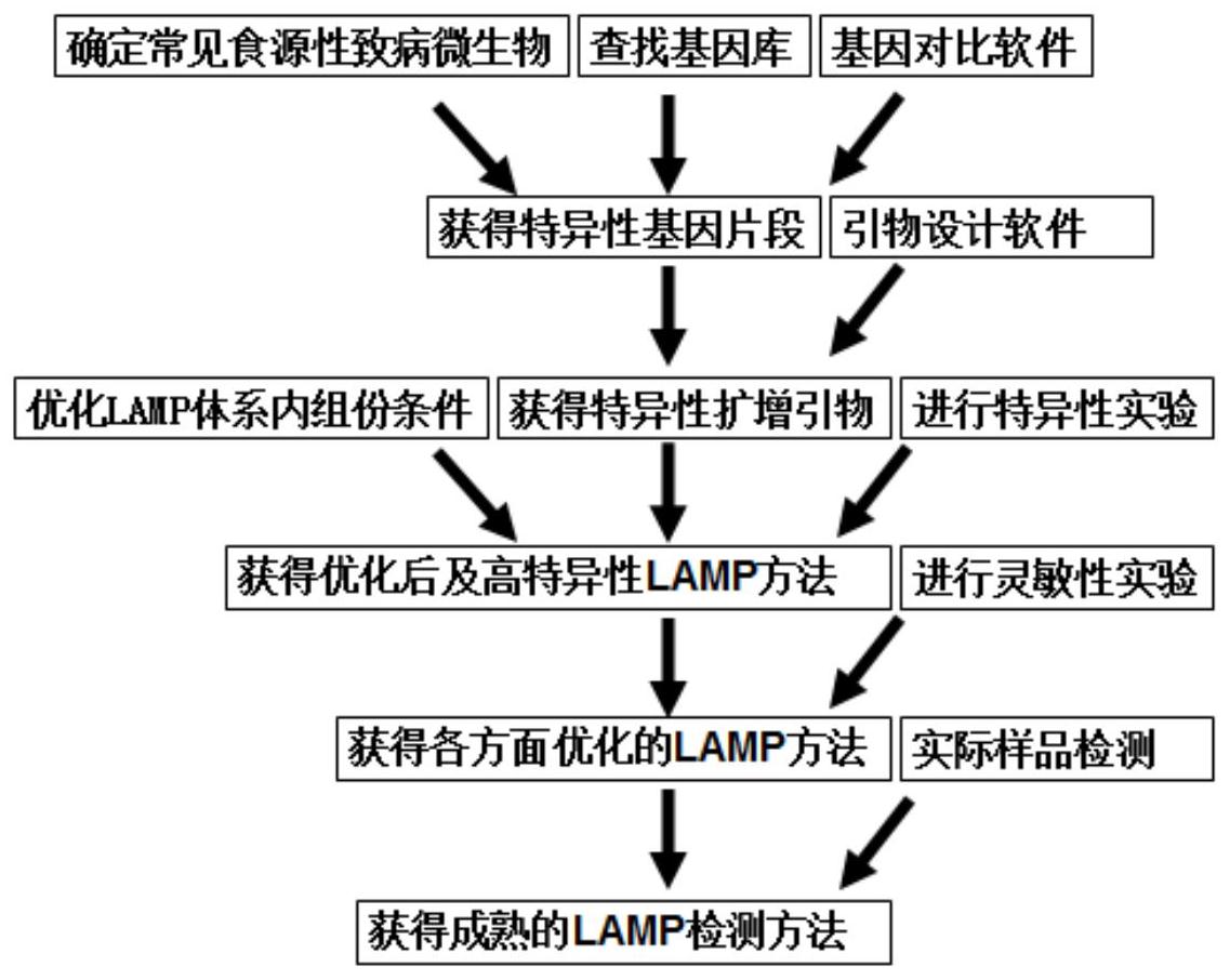 cn107365869a_利用環介導等溫擴增技術檢測食源性肺炎克雷伯菌的方法