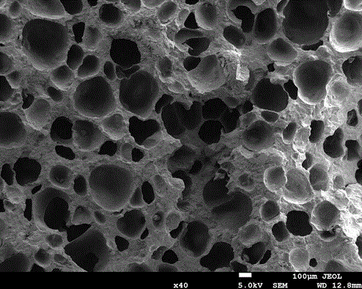 纳米羟基磷灰石环糊精基聚氨酯复合多孔骨组织工程支架材料的制备方法