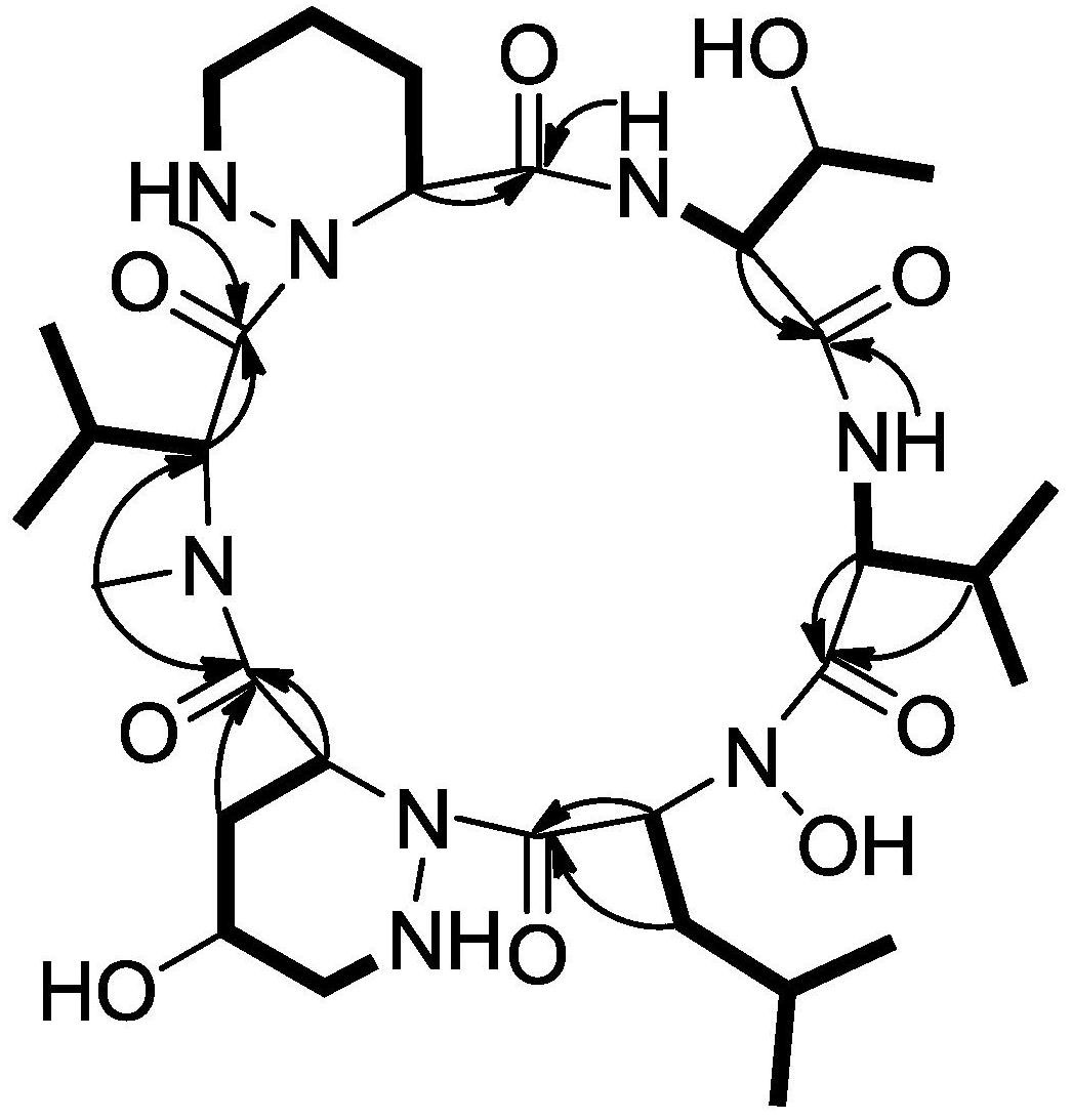 哌嗪环结构式图片图片