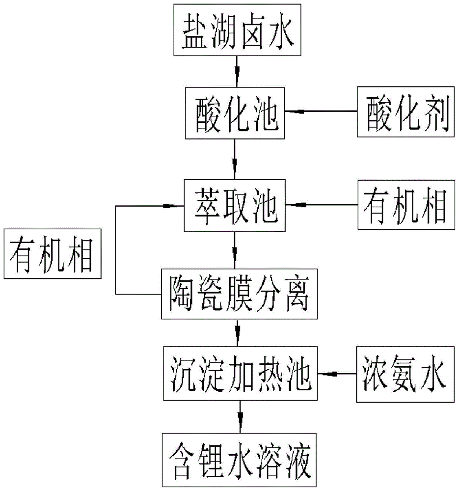 盐湖提锂工艺流程图片