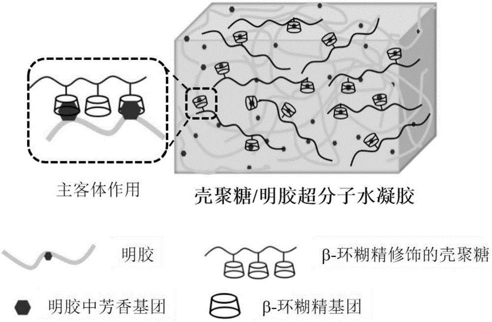 明胶结构图图片