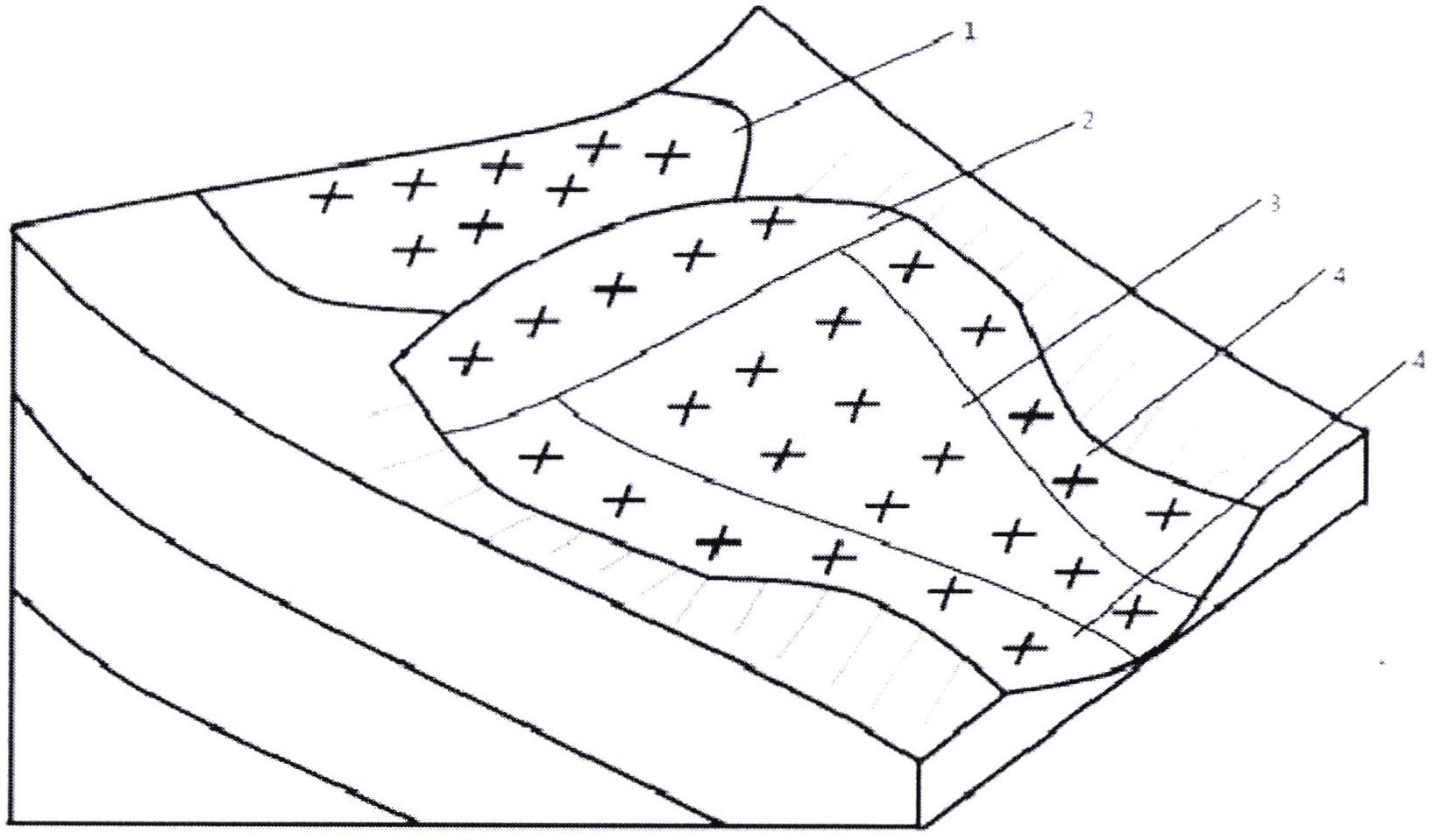 一种防治干热河谷冲沟发育区水土流失的植被配置方法