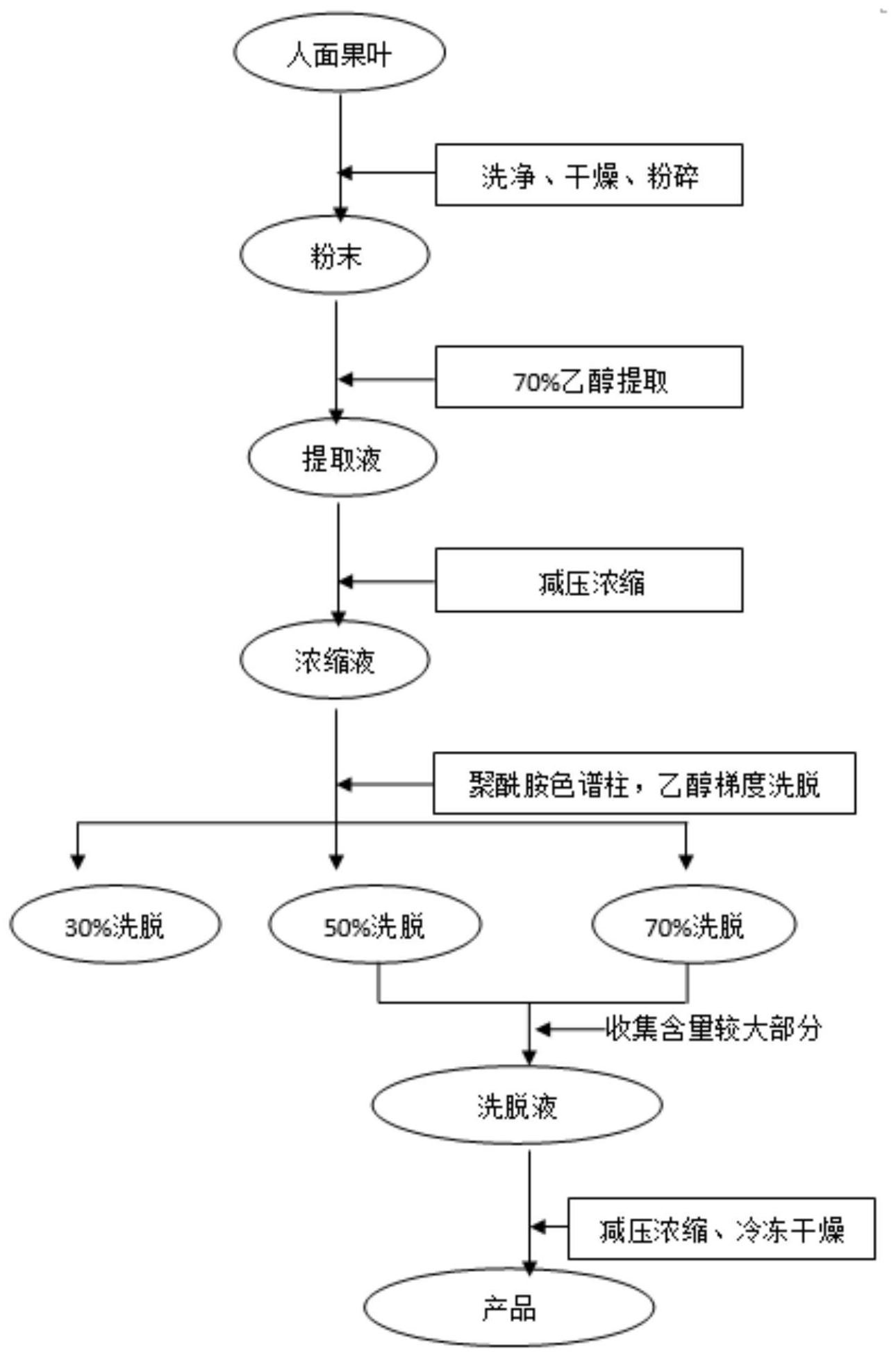 將人面果葉用60%～90%乙醇加熱迴流提取,減壓濃縮得到粗提取物後,上聚