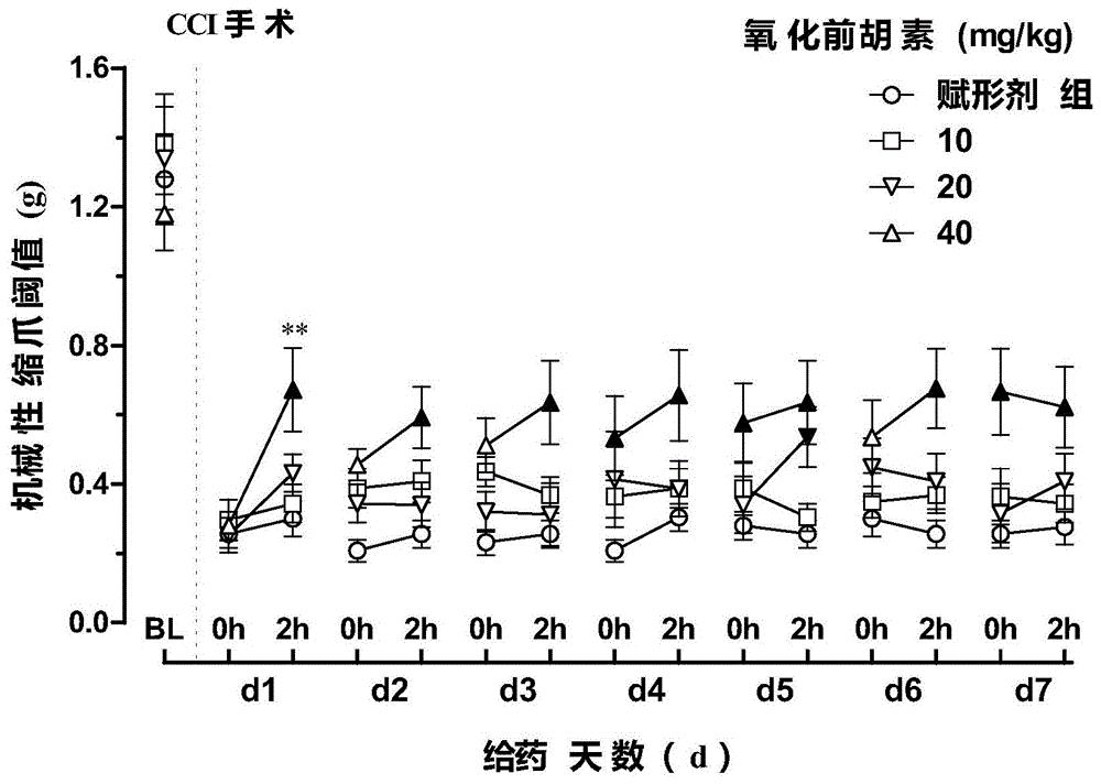 p25是什么意思医学(医学p2y12是什么意思啊)