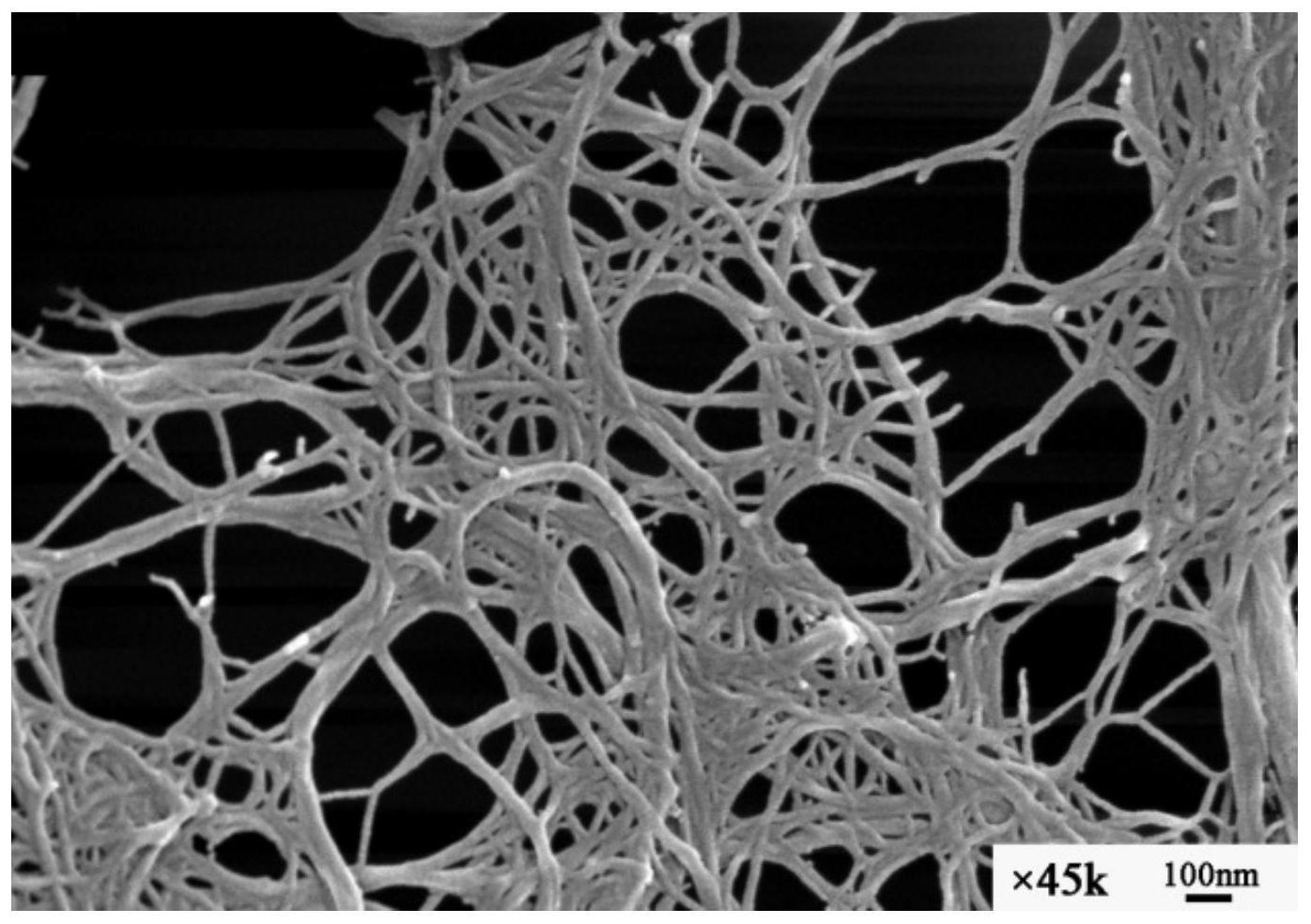纤维素纳米纤丝图片