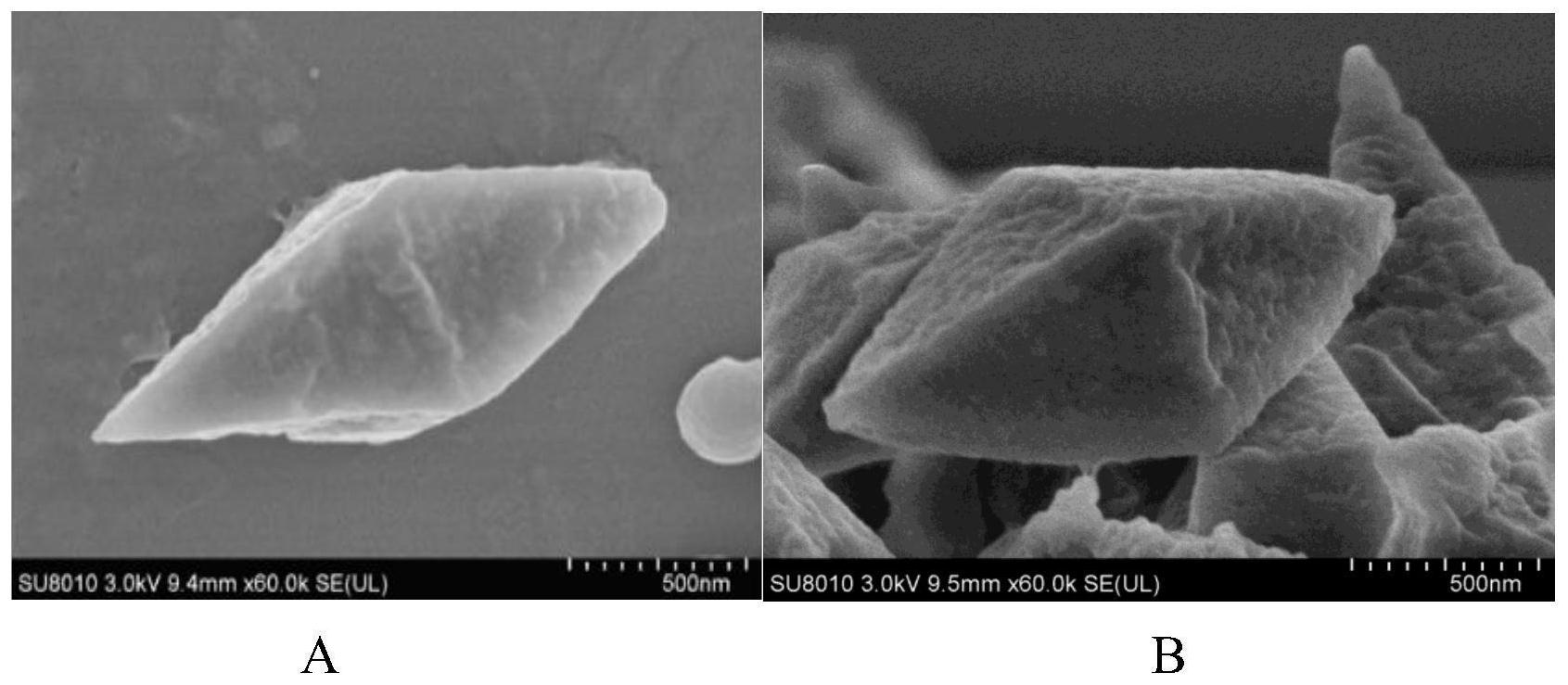 一种表面覆膜的苏云金芽孢杆菌伴孢晶体蛋白及其制备方专利