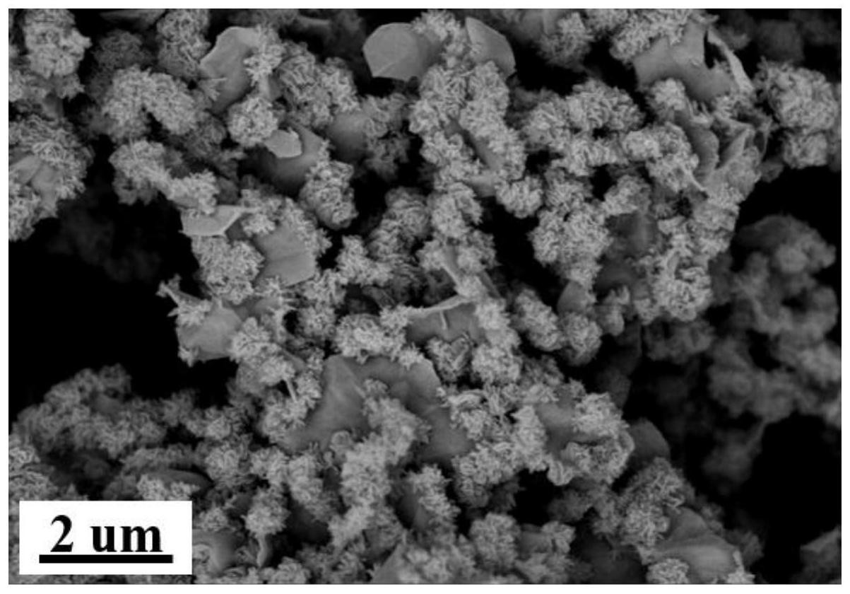 cn109650465b_一種鎳鈷雙金屬氫氧化物納米片上花及其製備方法