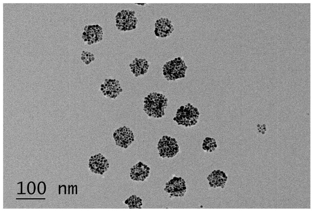 蛋白质介导的纳米晶体自组装聚集体及其制备方法专利