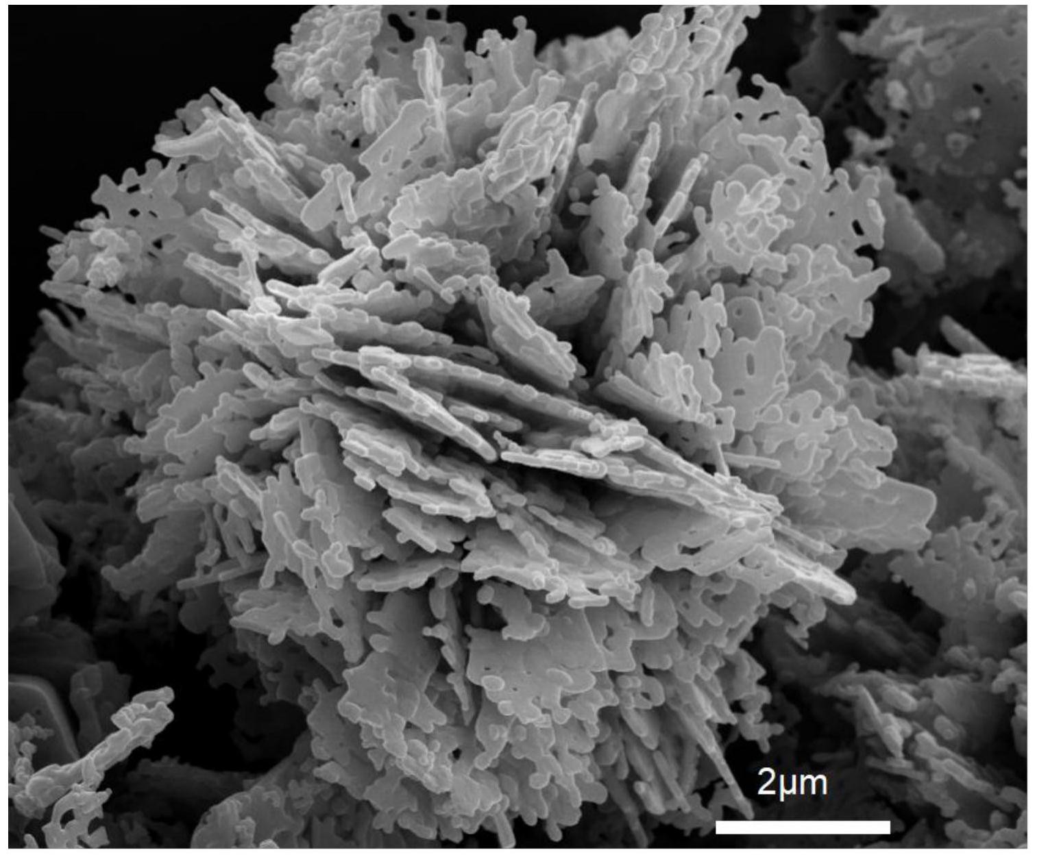 花状的ag@agbr/zno光催化材料的制备方法