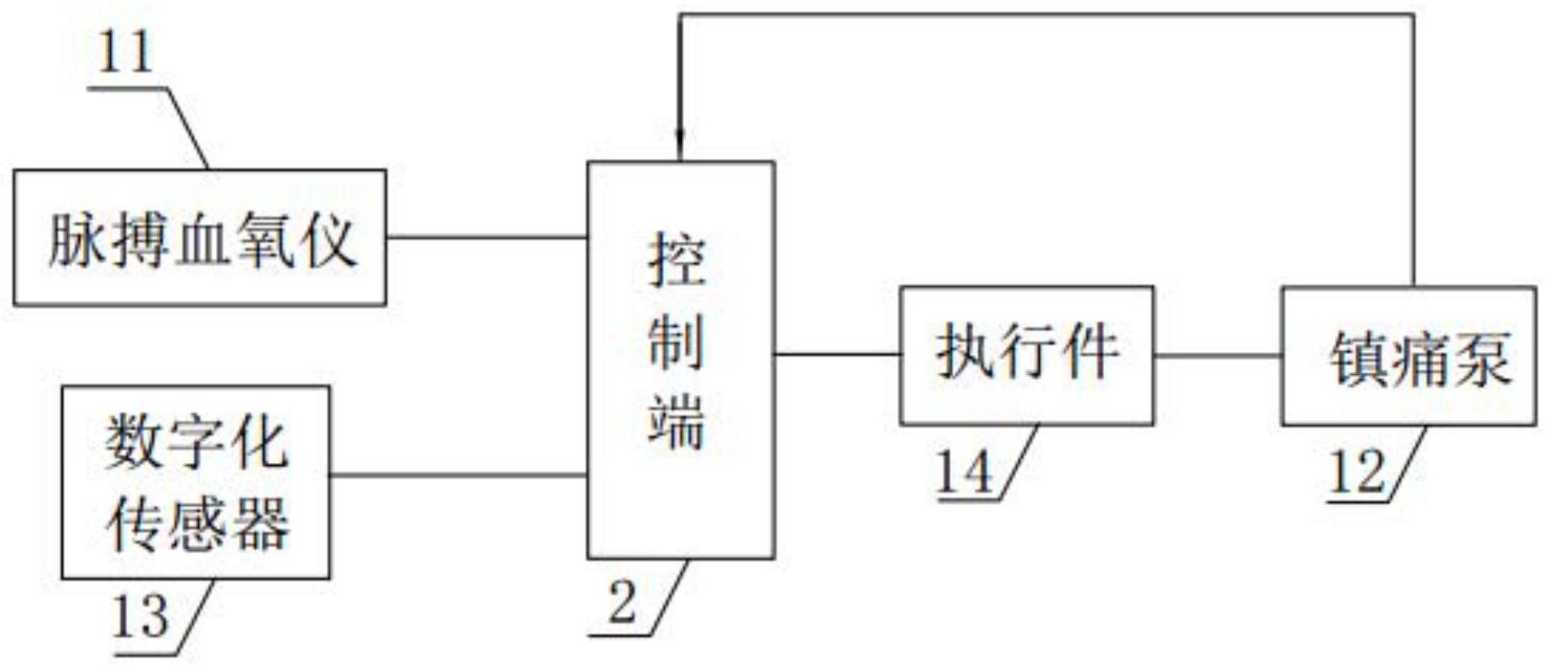 一种远程镇痛监控系统