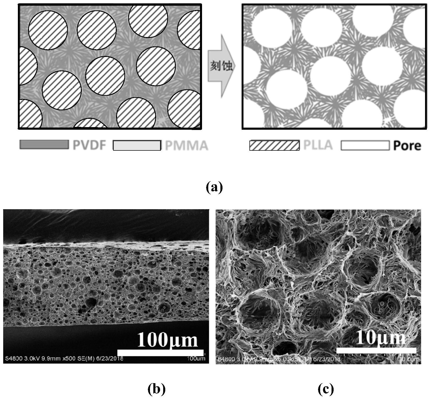 一种海岛结构的聚偏氟乙烯多级孔薄膜及其制备方法