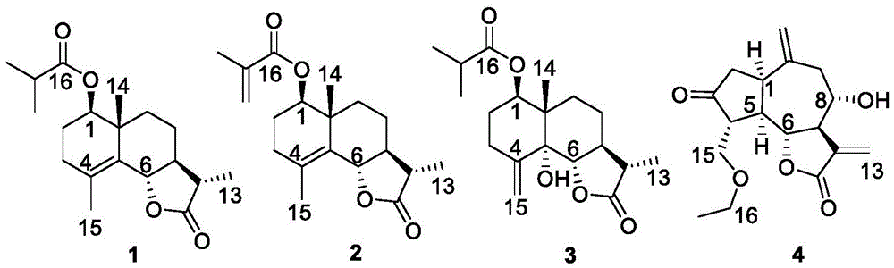 倍半萜类化合物及其制备方法和用途