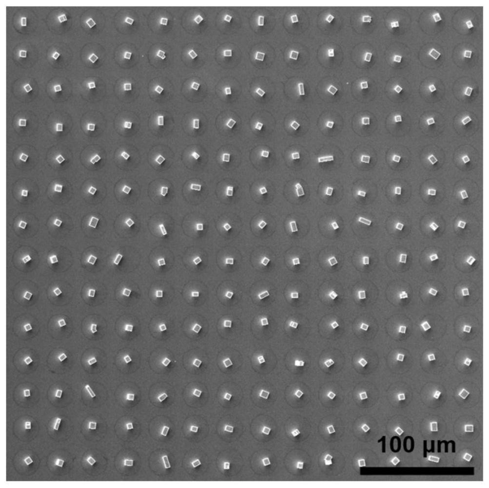 图案化钙钛矿单晶阵列及其光电器件的制备方法