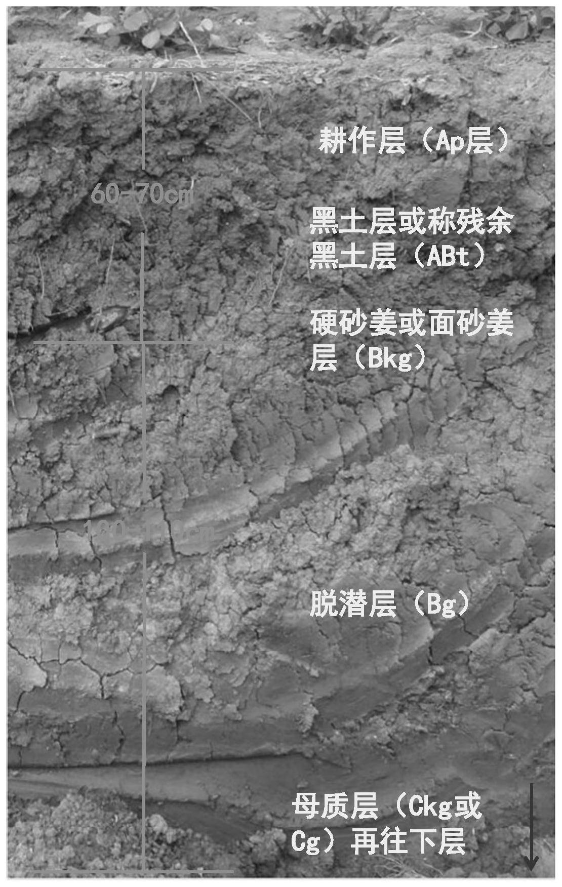 基于营养性干旱概念的砂姜黑土种植区域专用高产种植方法