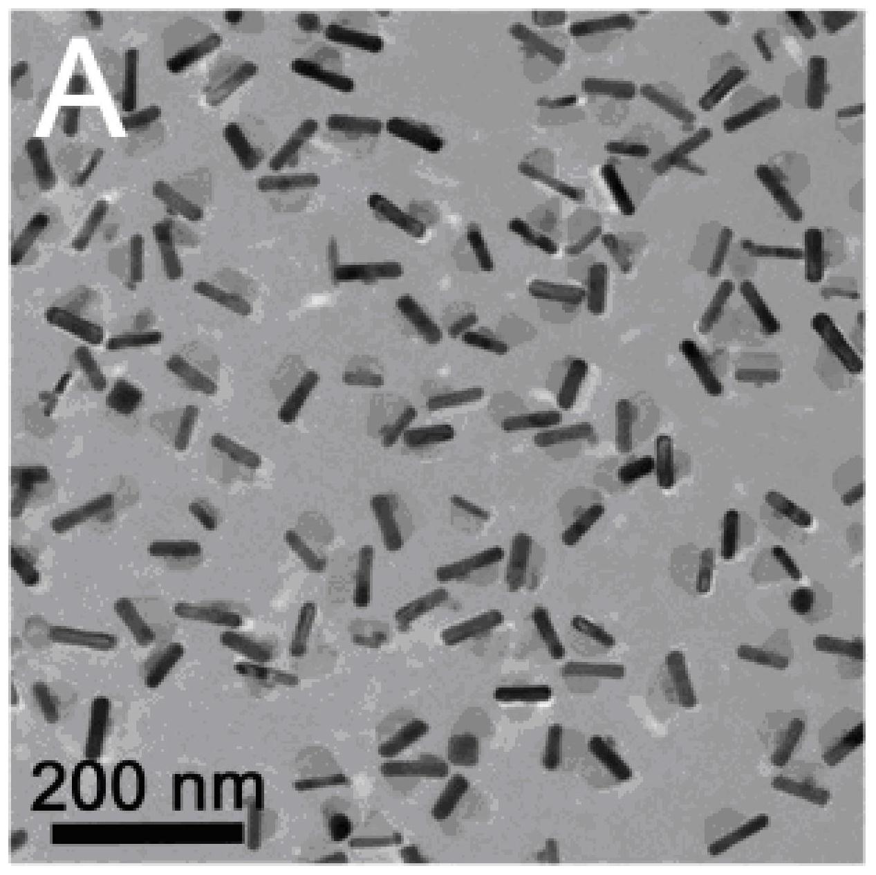 janus金纳米棒硫化铜纳米材料核壳金纳米棒硫化铜纳米材料及制备方法