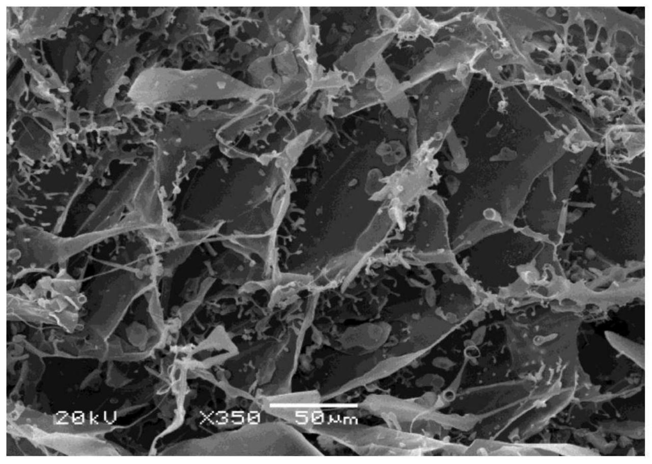 一种艾蒿多糖及其制备方法和美白增加皮肤弹性用途