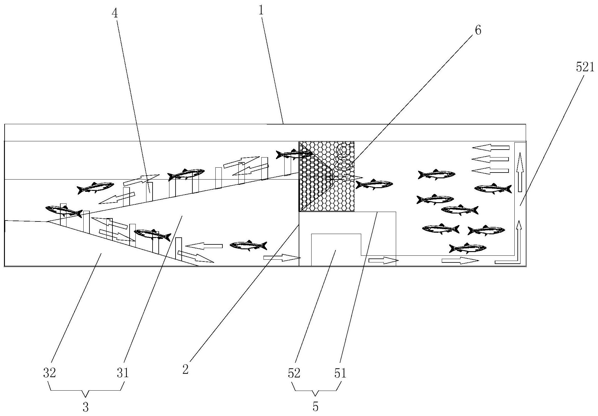 一种过鱼道模型
