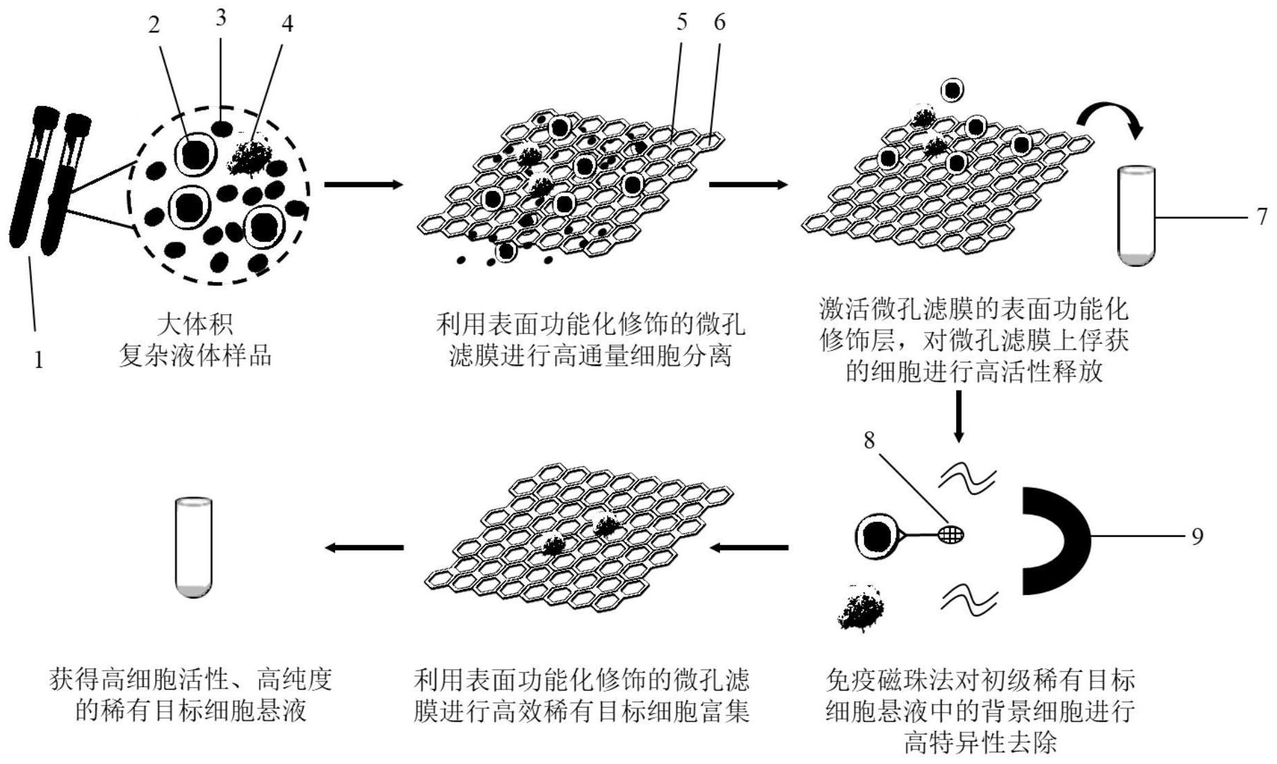 一种高细胞活性稀有细胞分离与富集的方法及装置和应用