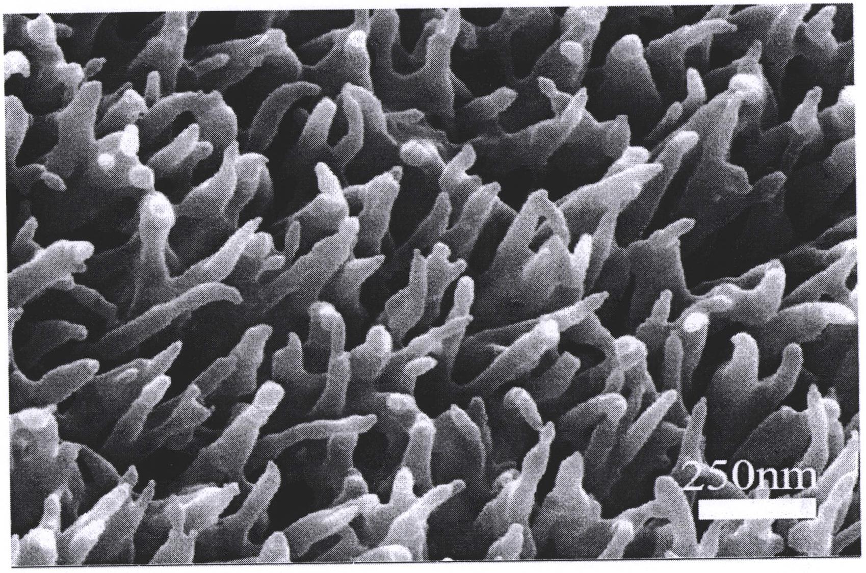 一种氮掺杂多孔碳包裹的镍钴双金属磷化物纳米棒阵列电极的制备方法