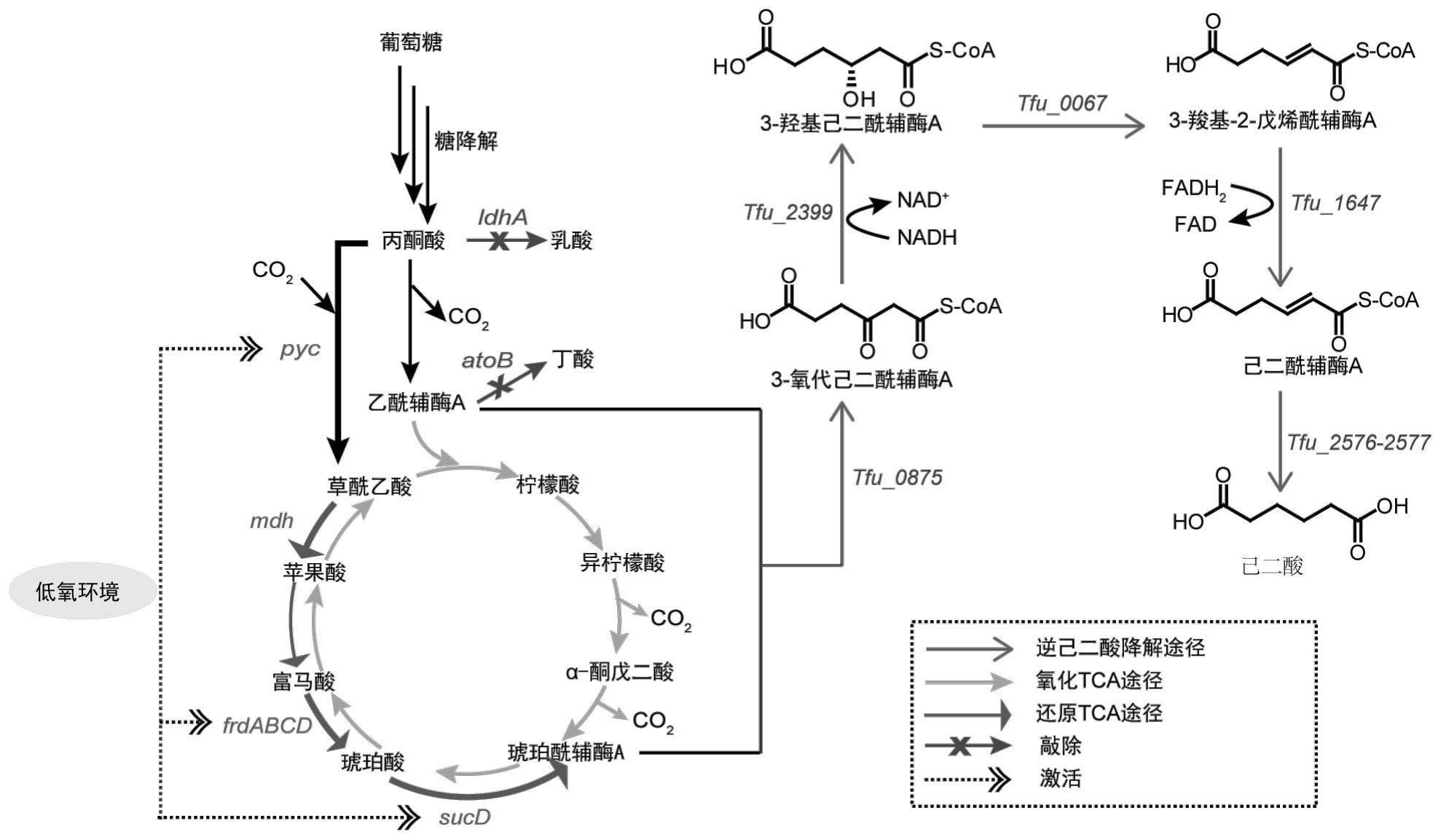 包含tcaplusdb的词条