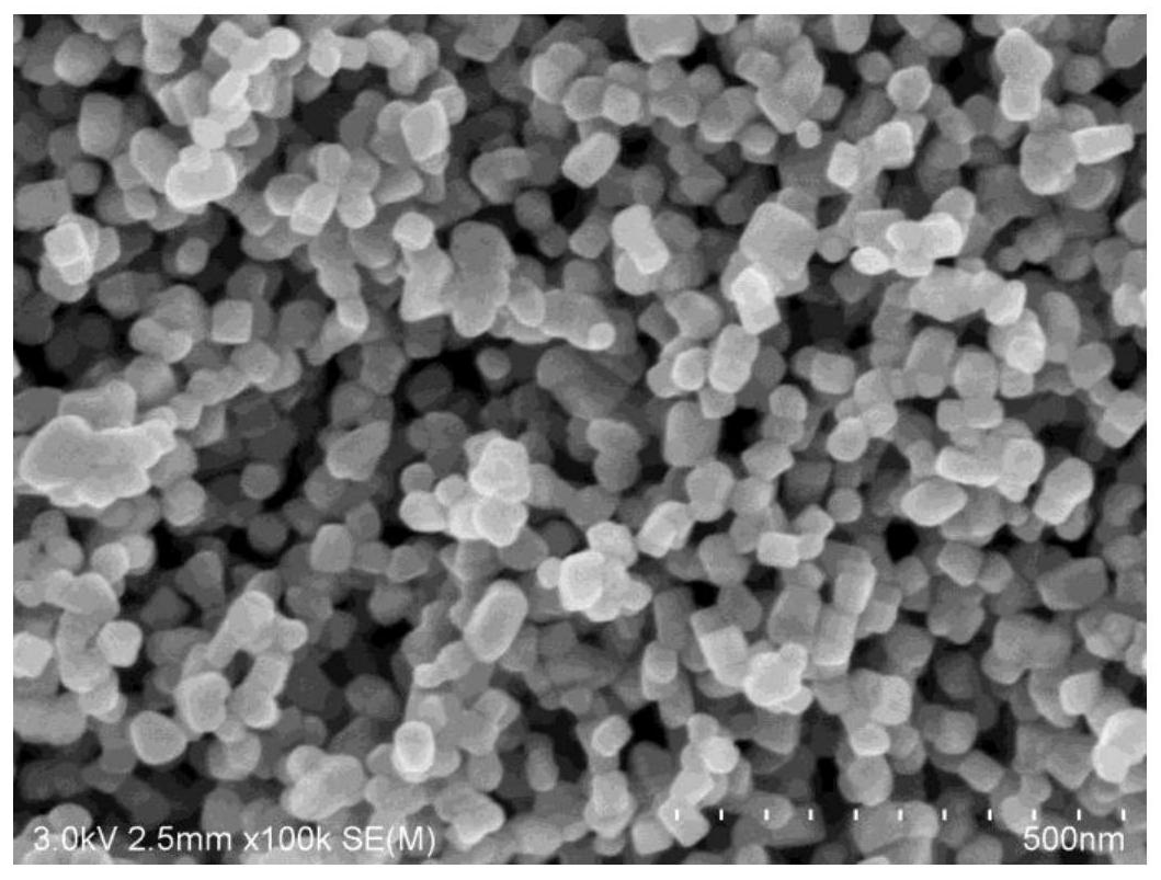 一种二氧化钛涂层电极及其制备方法