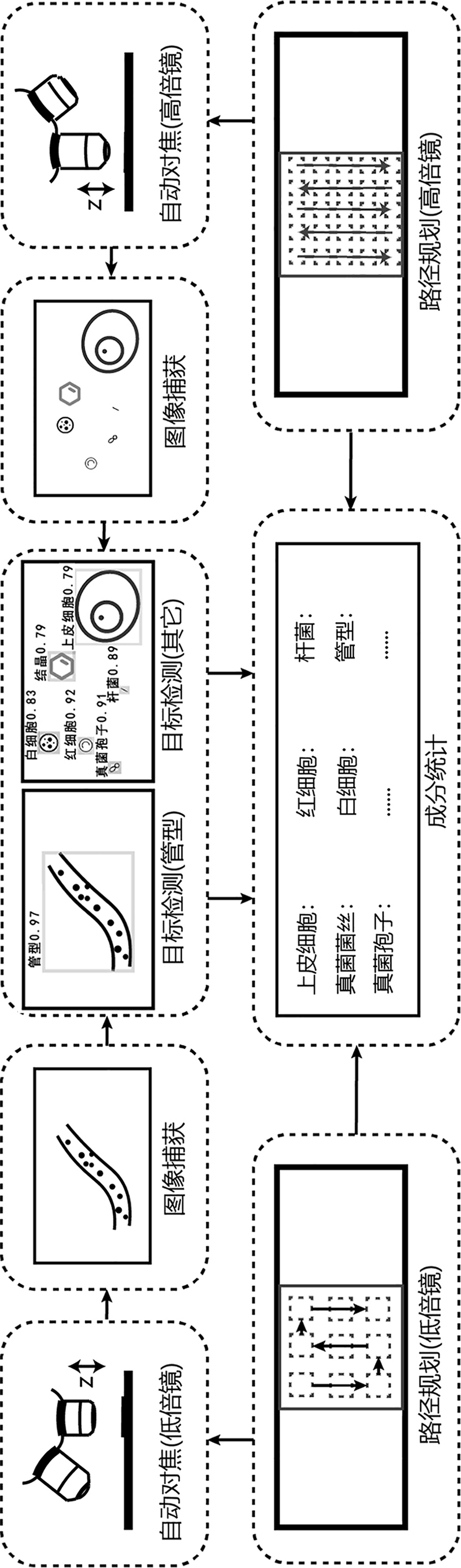 尿沉渣图像分析图片