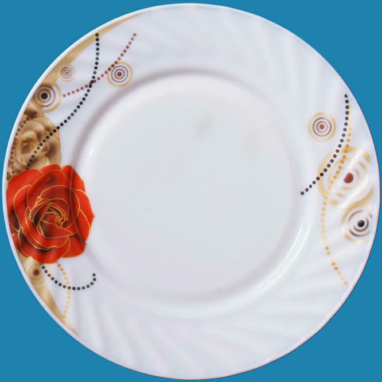 cn301535667s_盘子(091)失效