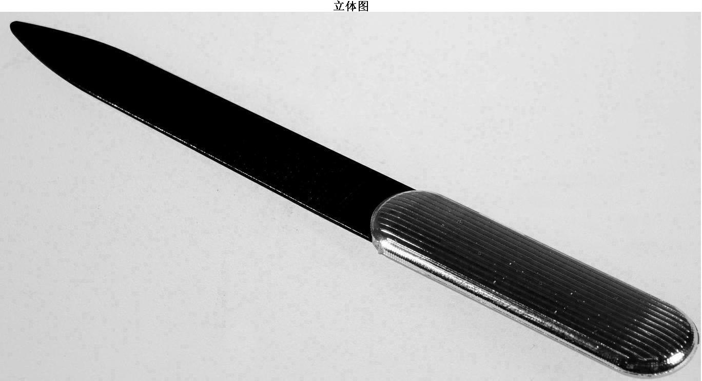 cn302490849s_指甲锉刀有效