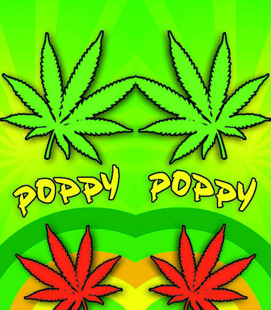 包装纸(skz105-2麻叶-5)