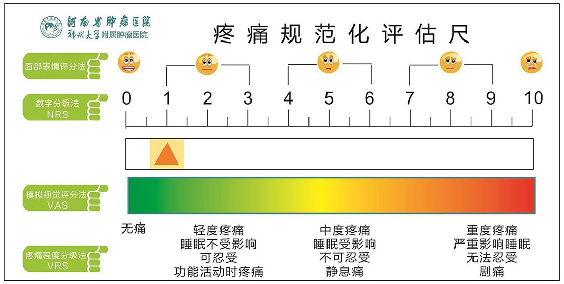 疼痛规范化评估尺