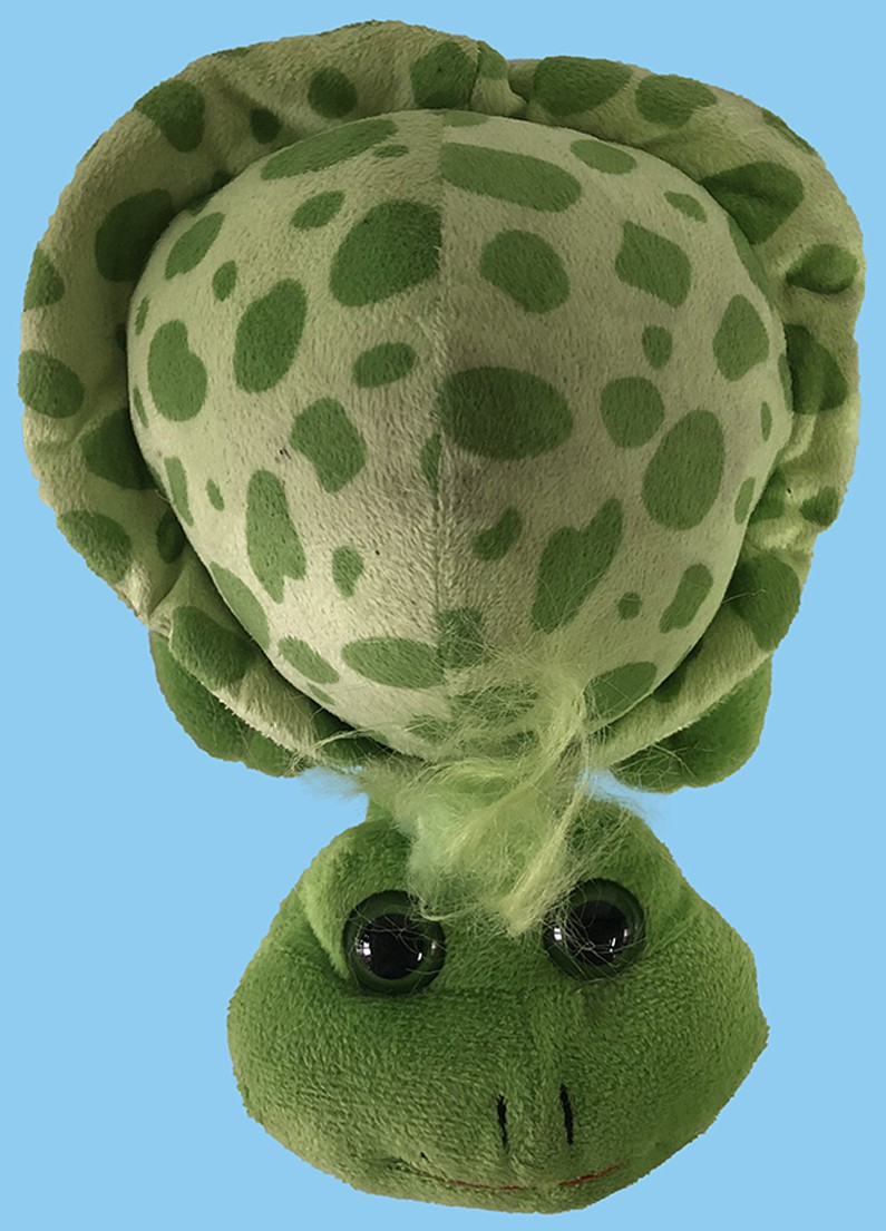 玩具(绿毛龟)
