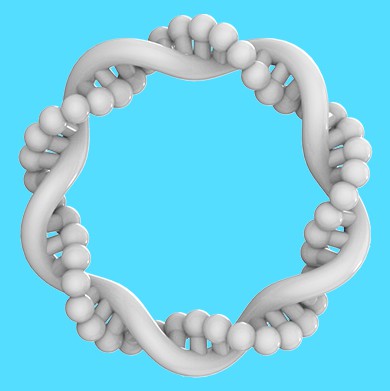 cn306079570s_rna模型教具