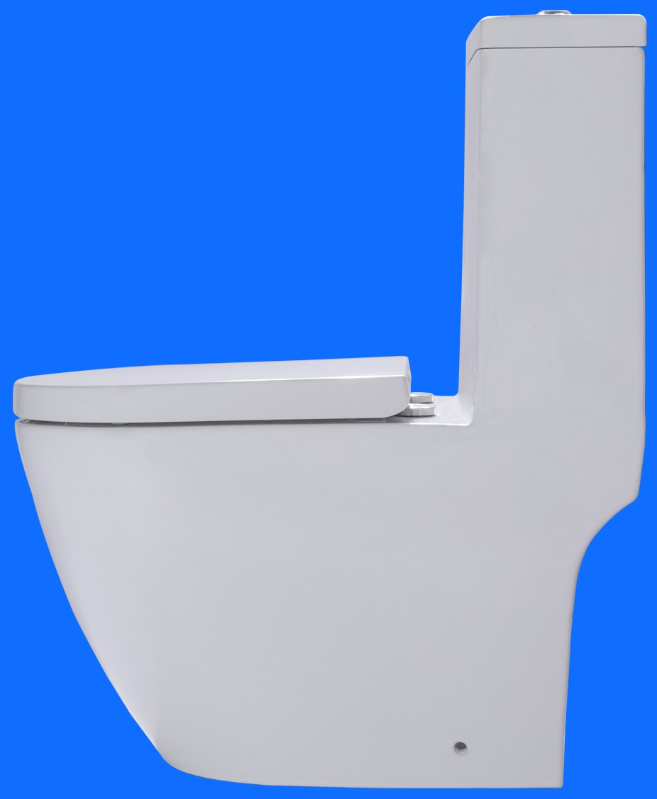 马桶(连体直冲a501)