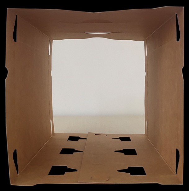 cn306126273s_集束包装盒