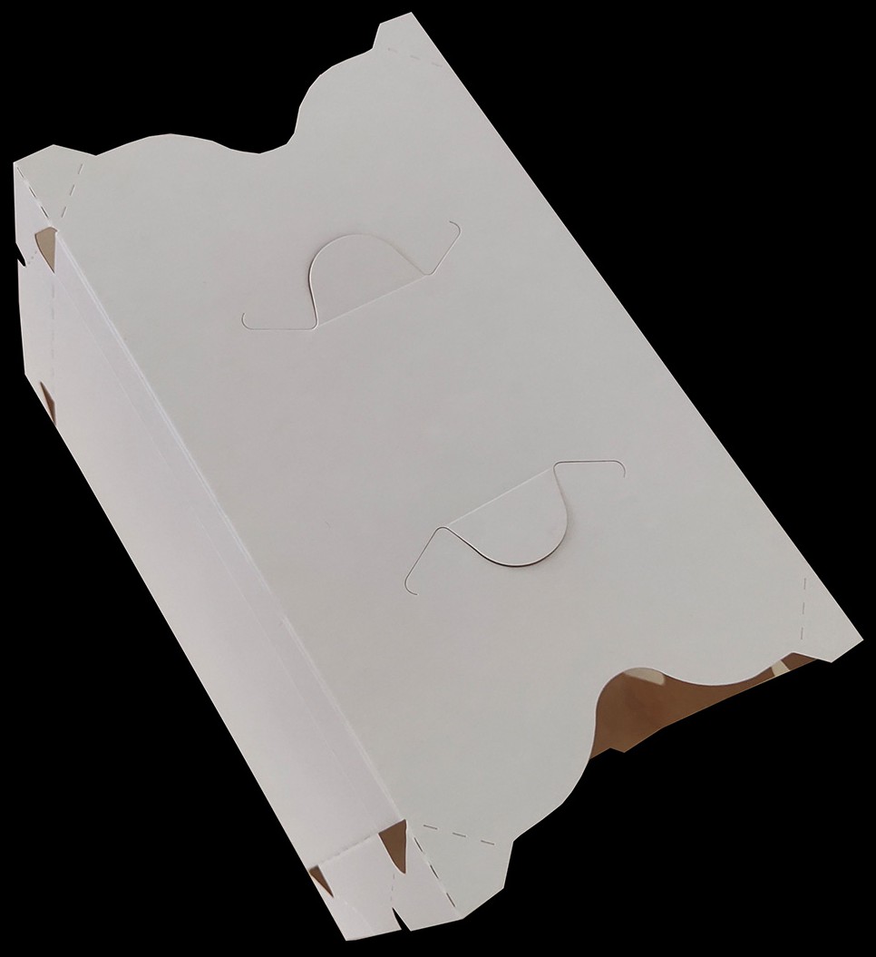 cn306126273s_集束包装盒